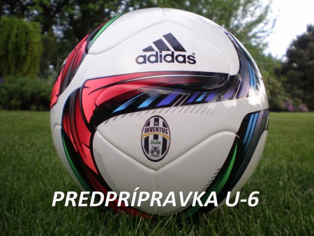 PLÁN TRÉNINGOV U-6: JANUÁR - MAREC 2016!!!  